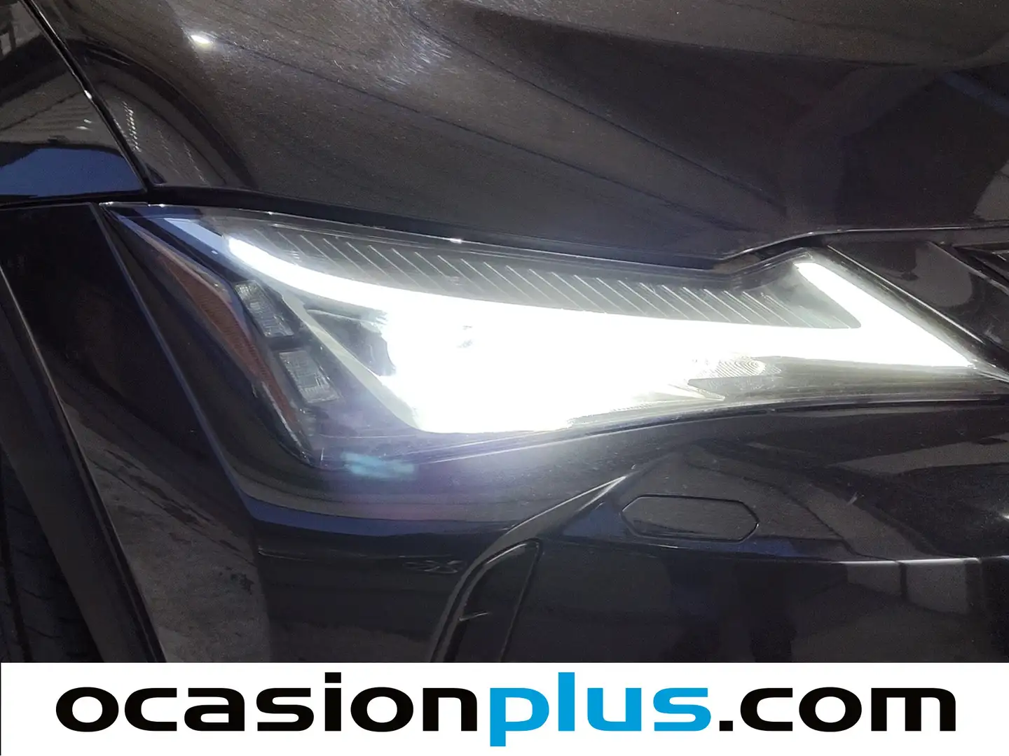 Foto Lexus UX Lexus UX 250h Executive (184 CV)