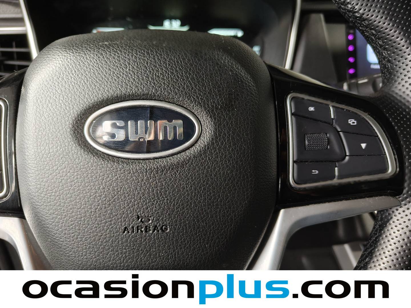 SWM G01 SWM G01 1.5T Luxury (131 CV) gasolina