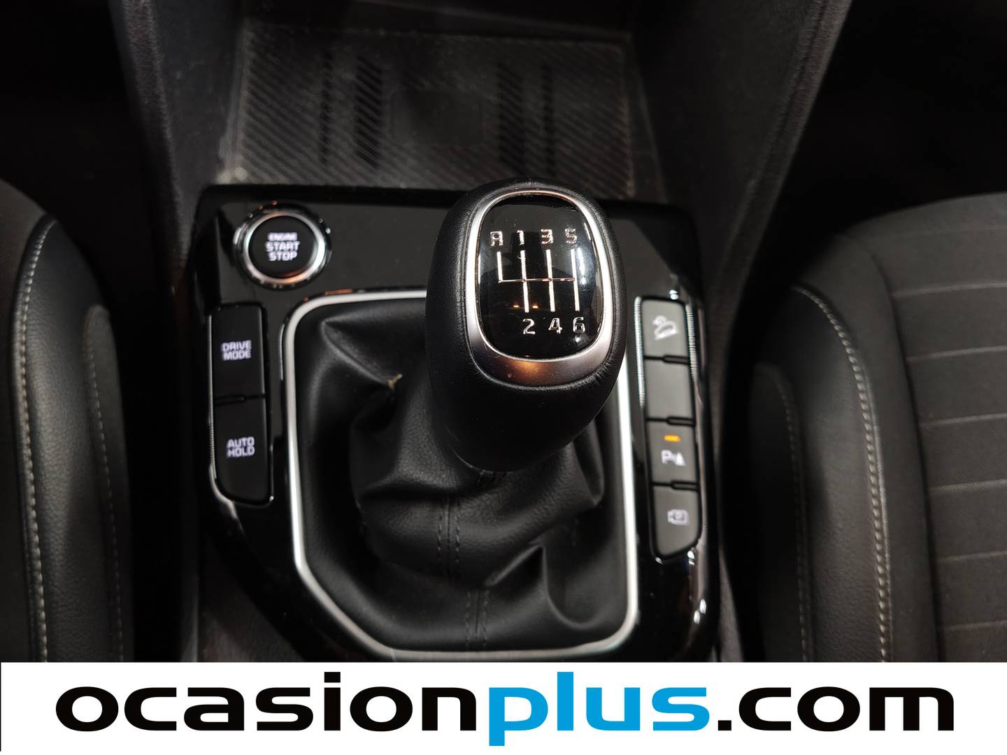 KIA Sportage KIA Sportage 1.6 T-GDi MHEV Tech 4x2 (150 CV) de segunda mano