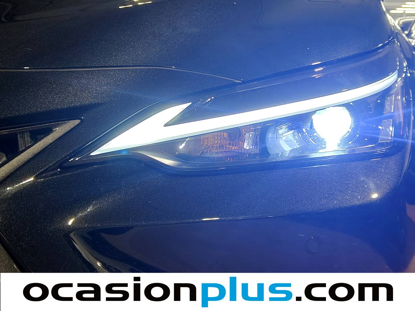 Foto Lexus NX Lexus NX 350h Executive 4WD (242 CV)