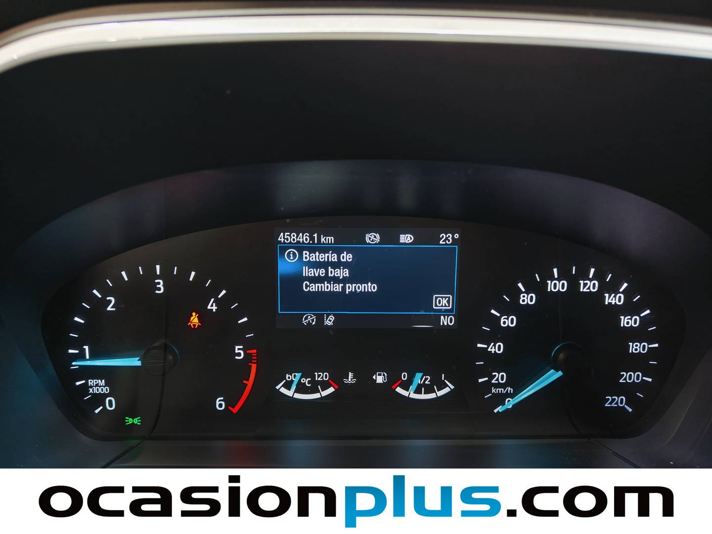 Ford Kuga Ford Kuga 2.0 EcoBlue MHEV Titanium (150 CV) 150cv