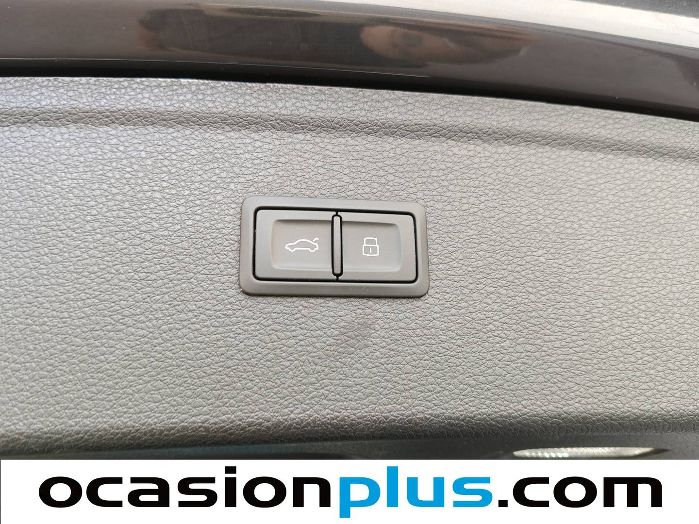 Audi Q5 Audi Q5 Advanced 35 TDI (163 CV) S Tronic al mejor precio