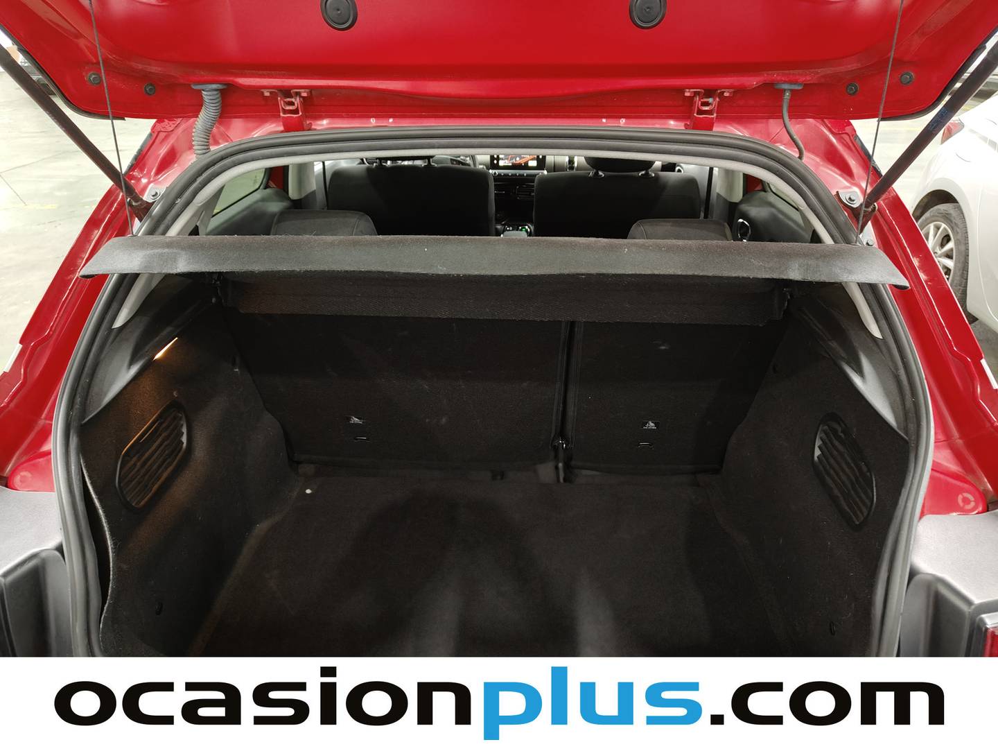 Foto Citroën C4 Cactus Citroen C4 Cactus BlueHDi 100 Shine ETG6 (100 CV)