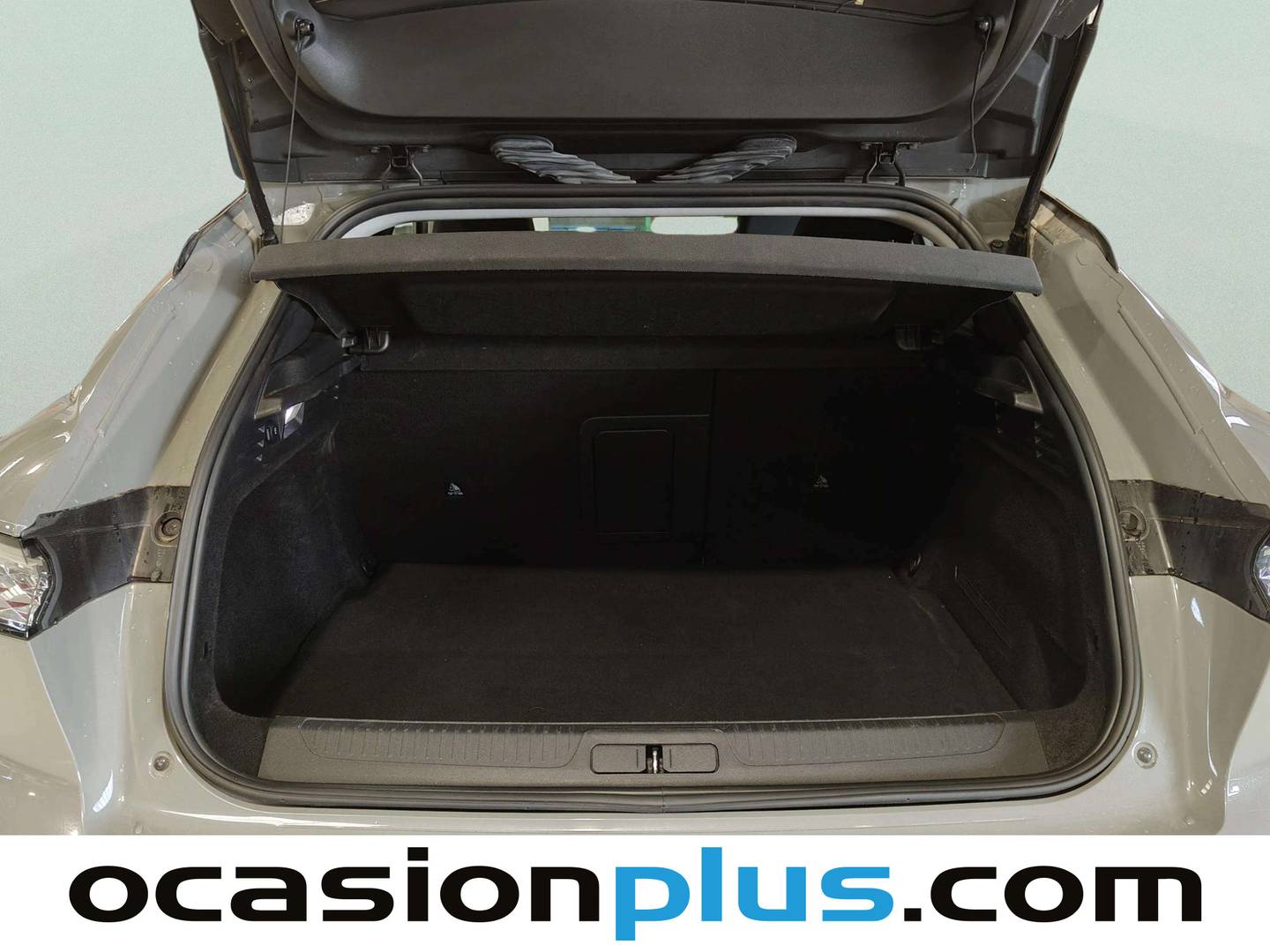 Foto DS DS 4 DS DS4 E-TENSE Trocadero (225 CV)