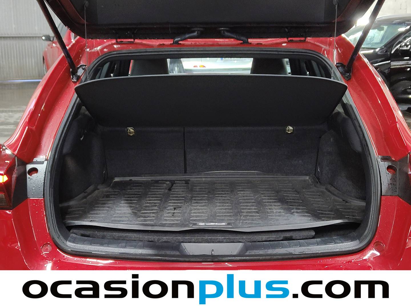 Lexus UX Lexus UX 250h Executive Navigation (184 CV) km 0