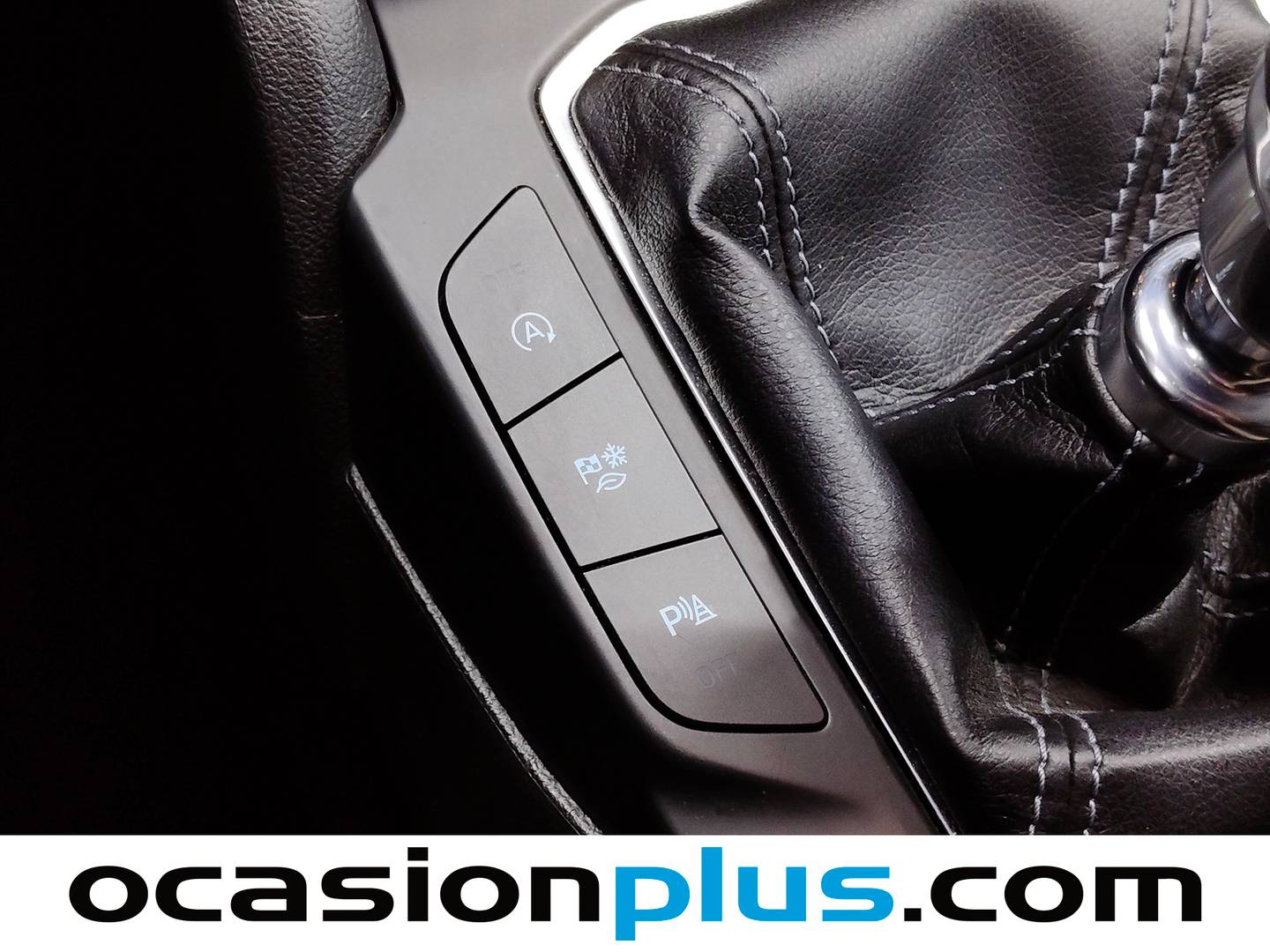 Foto Ford Focus Ford Focus 1.0 Ecoboost MHEV Active (155 CV)