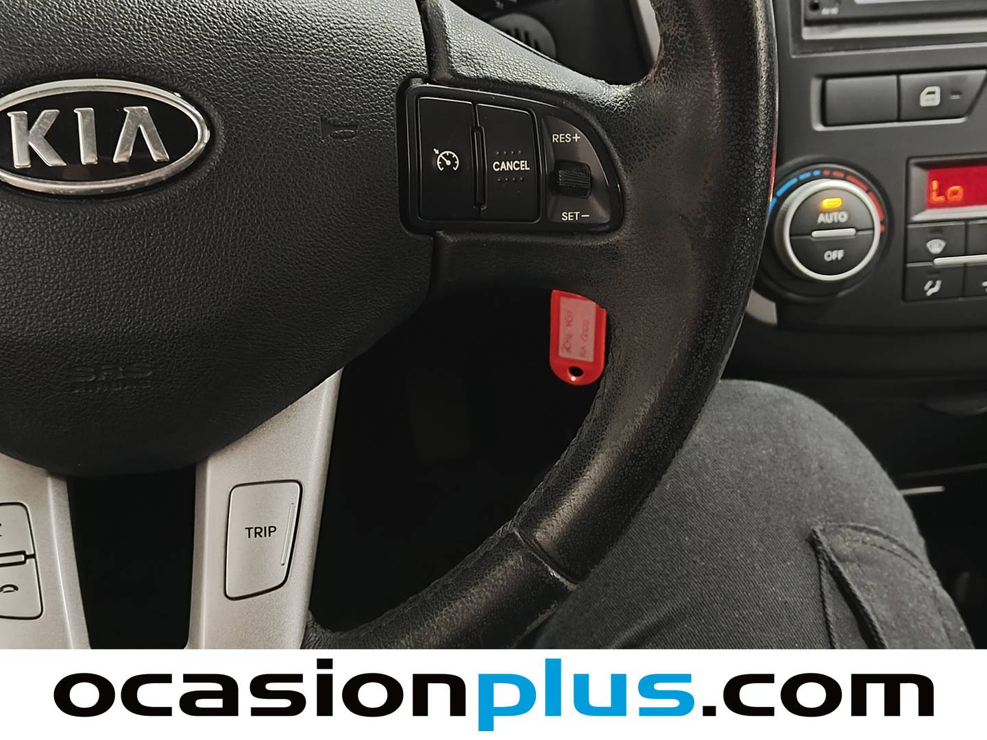 KIA Ceed KIA Ceed 1.4 CVVT Drive (90 CV) 90cv