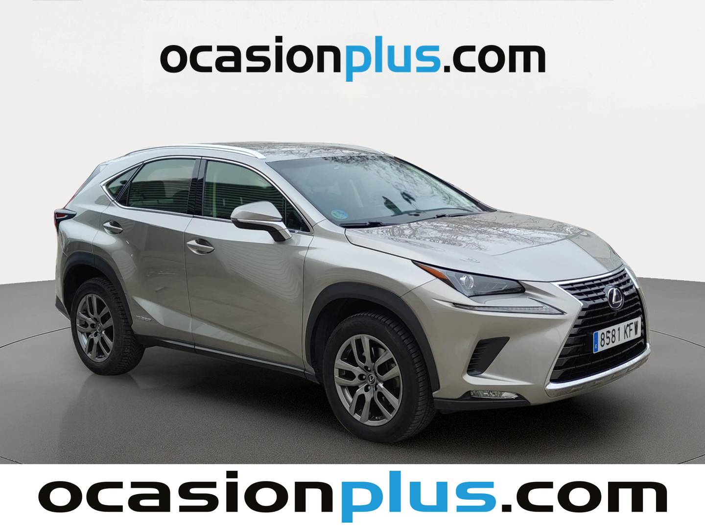 Foto Lexus NX Lexus NX 300h Business Navigation 2WD (197 CV)