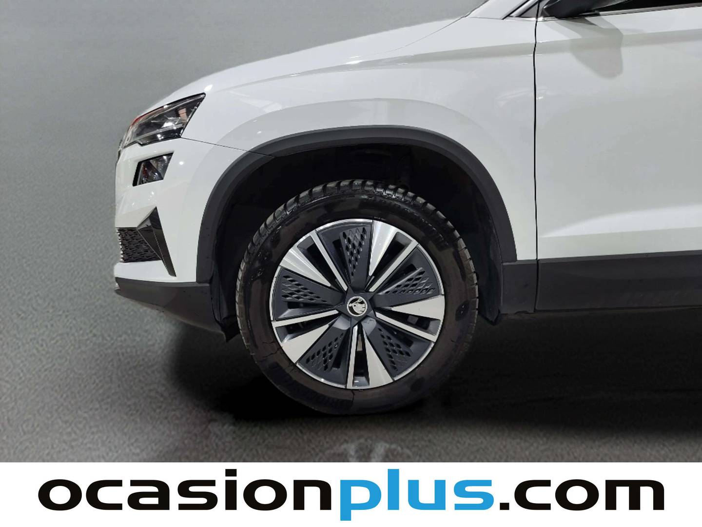 Skoda Karoq Skoda Karoq 2.0 TDI Selection (115 CV) de segunda mano