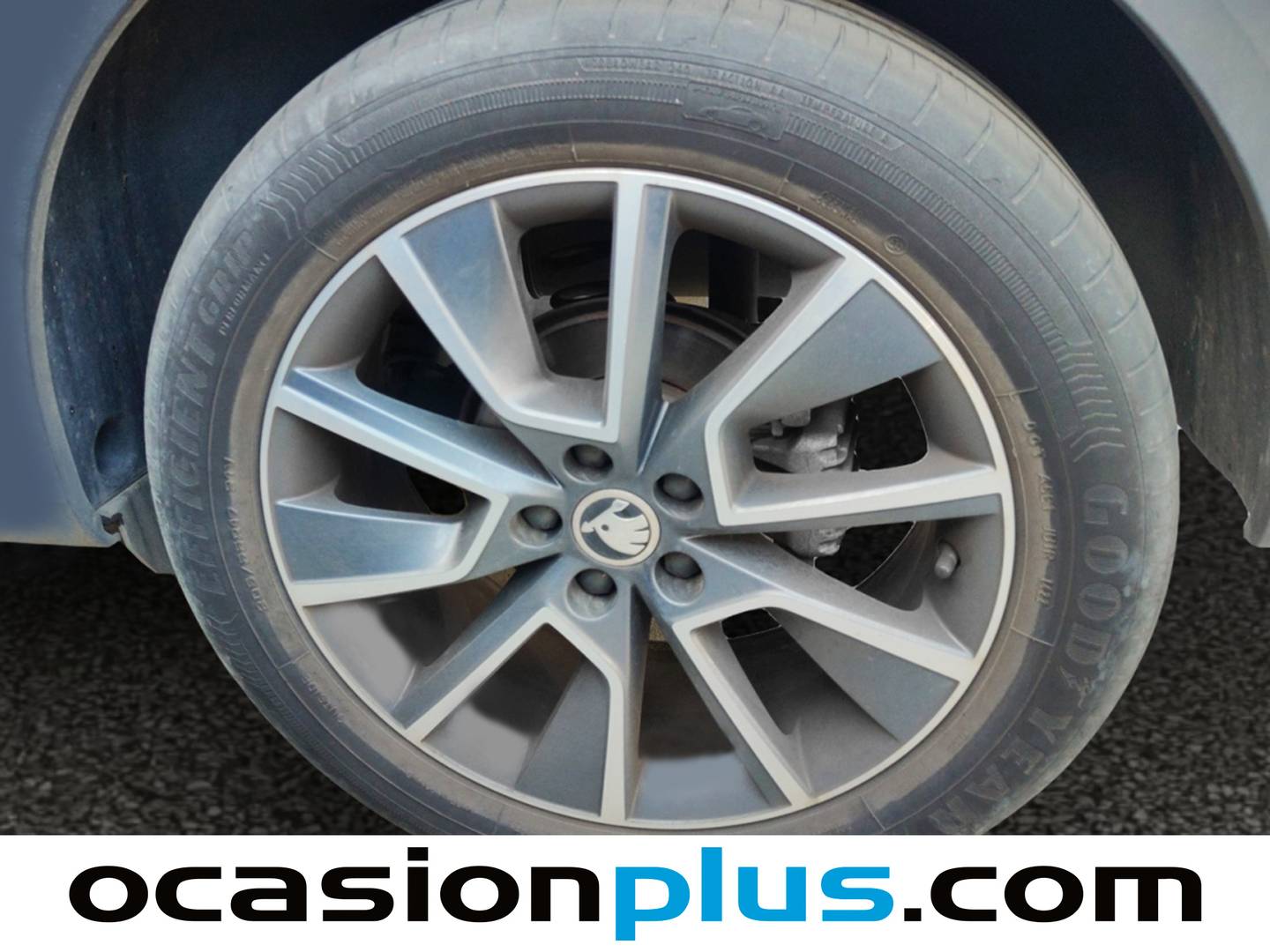 Foto Skoda Kamiq Skoda Kamiq 1.0 TSI Scout DSG (110 CV)