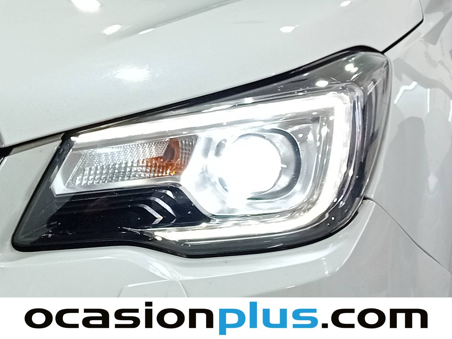 Subaru Forester Subaru Forester 2.0 Sport Plus Lineartronic (150 CV) 4X4 GLP barato