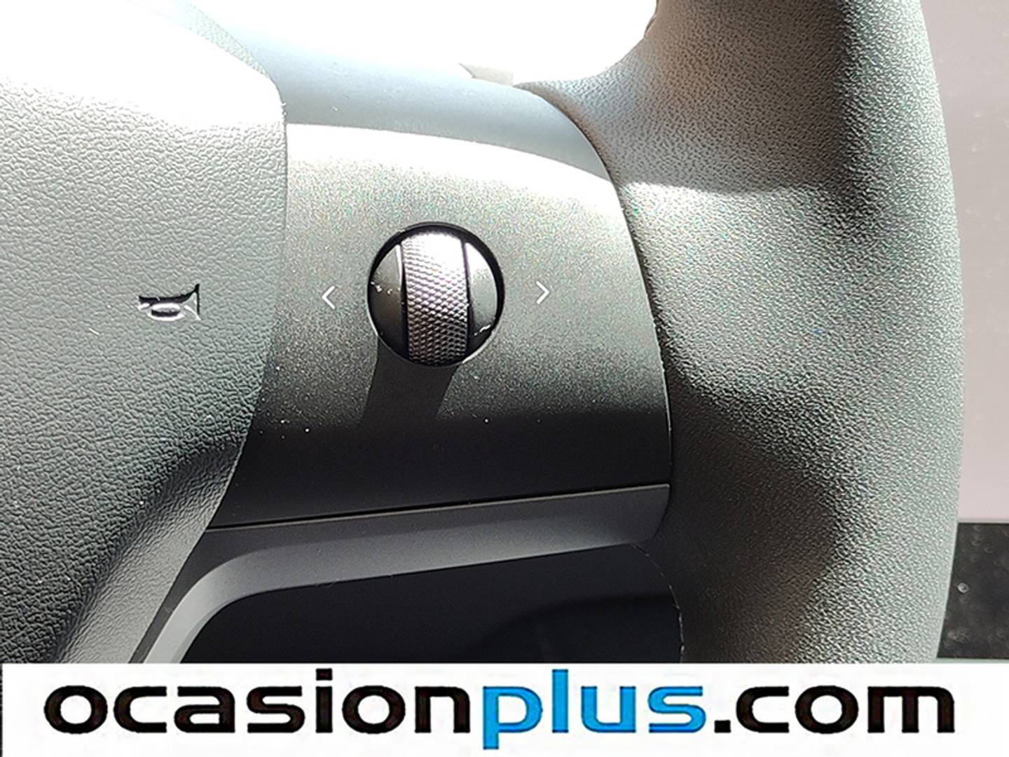 Foto Tesla Model Y Tesla Model Y Performance 4WD (534 CV)