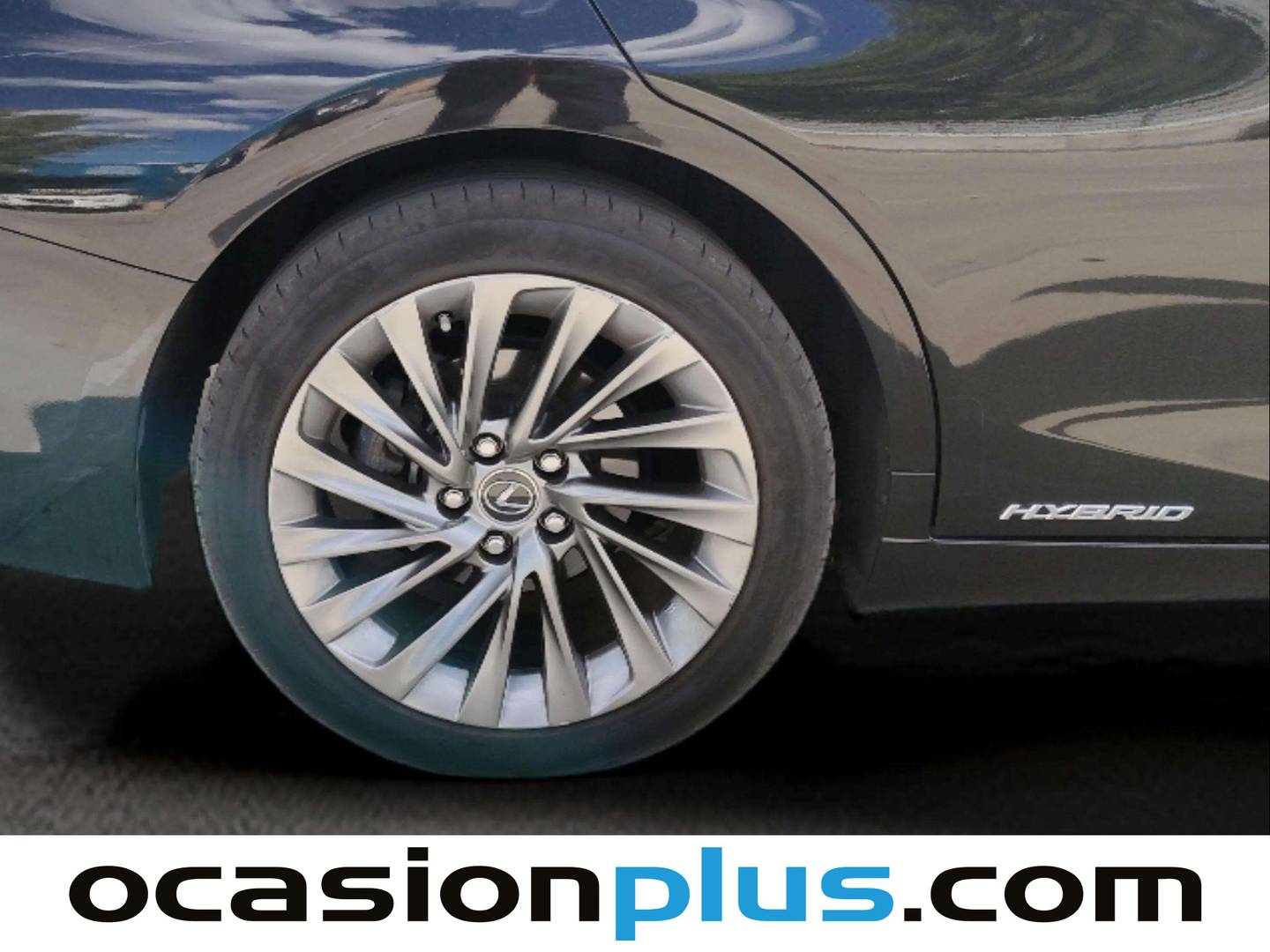 Lexus ES Lexus ES 300h Executive (218 CV) 2019