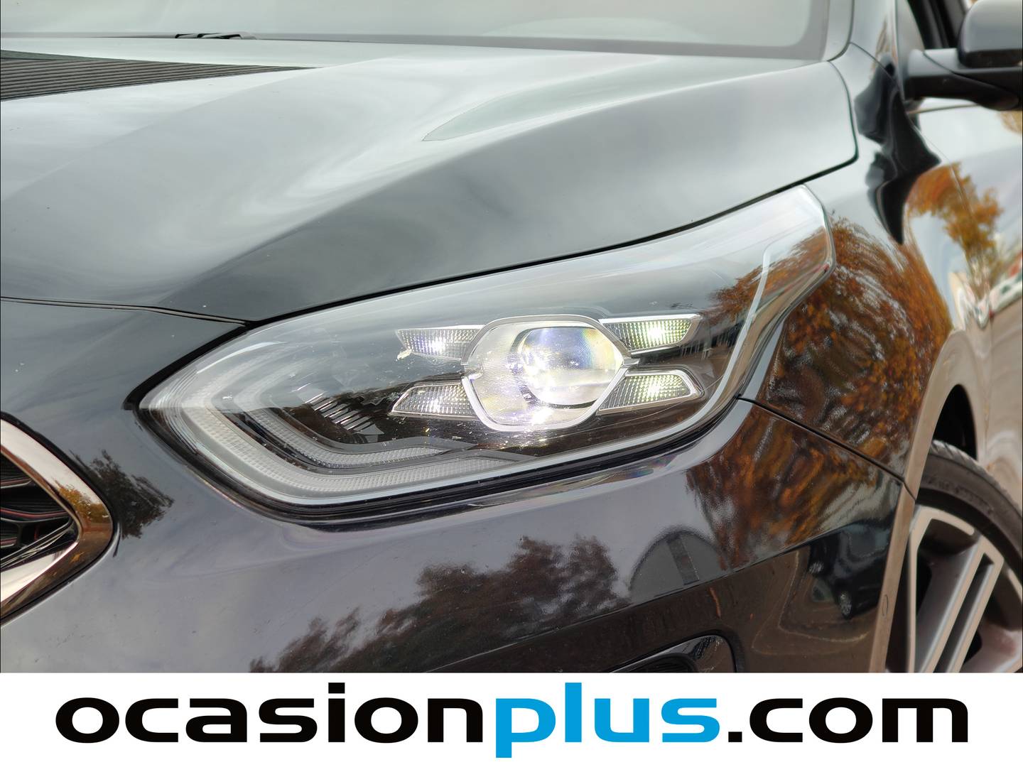 Foto KIA ProCeed Kia ProCeed 1.6 T-GDI GT DCT (204 CV)