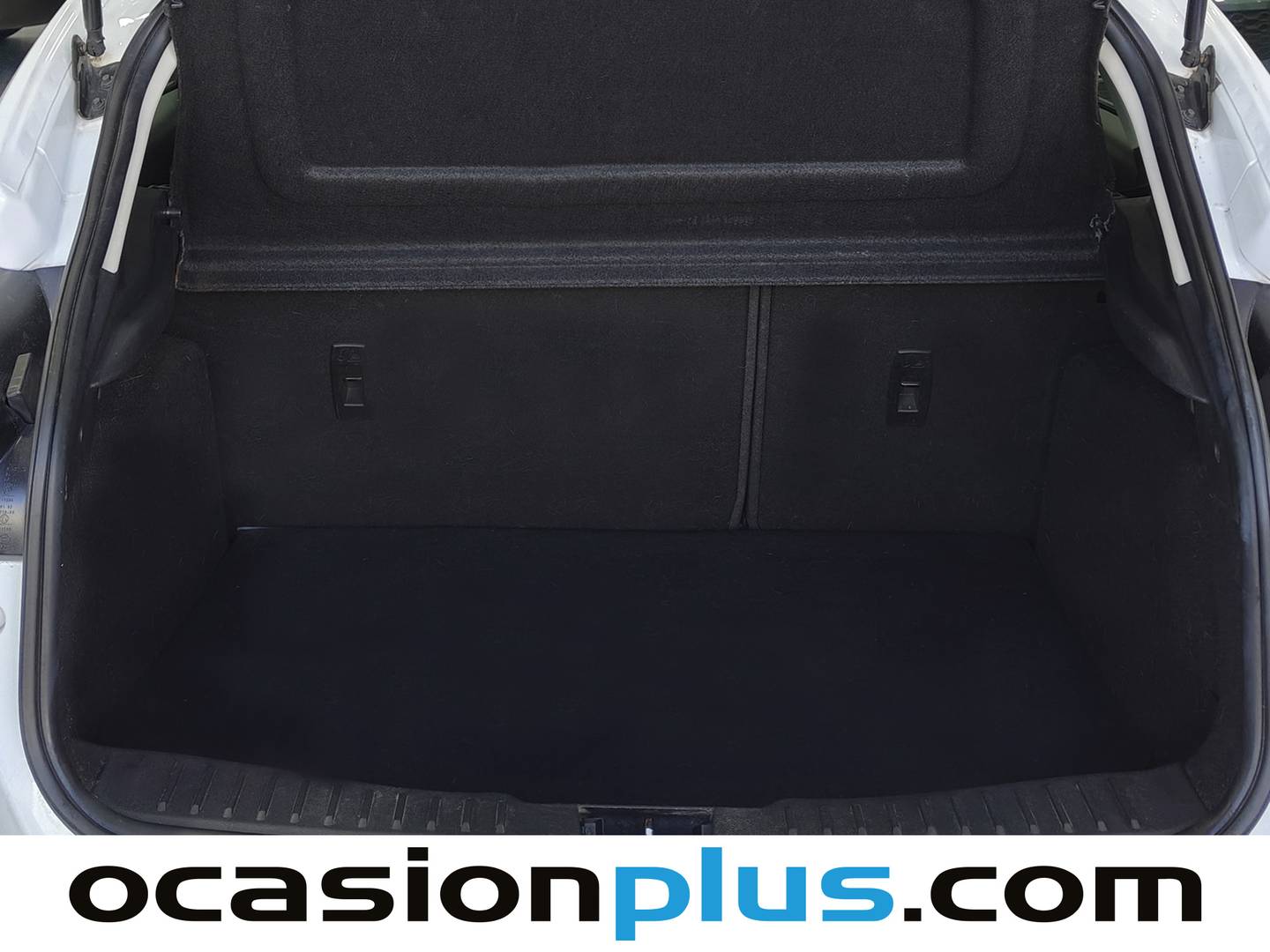 Foto Ford Focus Ford Focus 1.0 Ecoboost Business (125 CV)