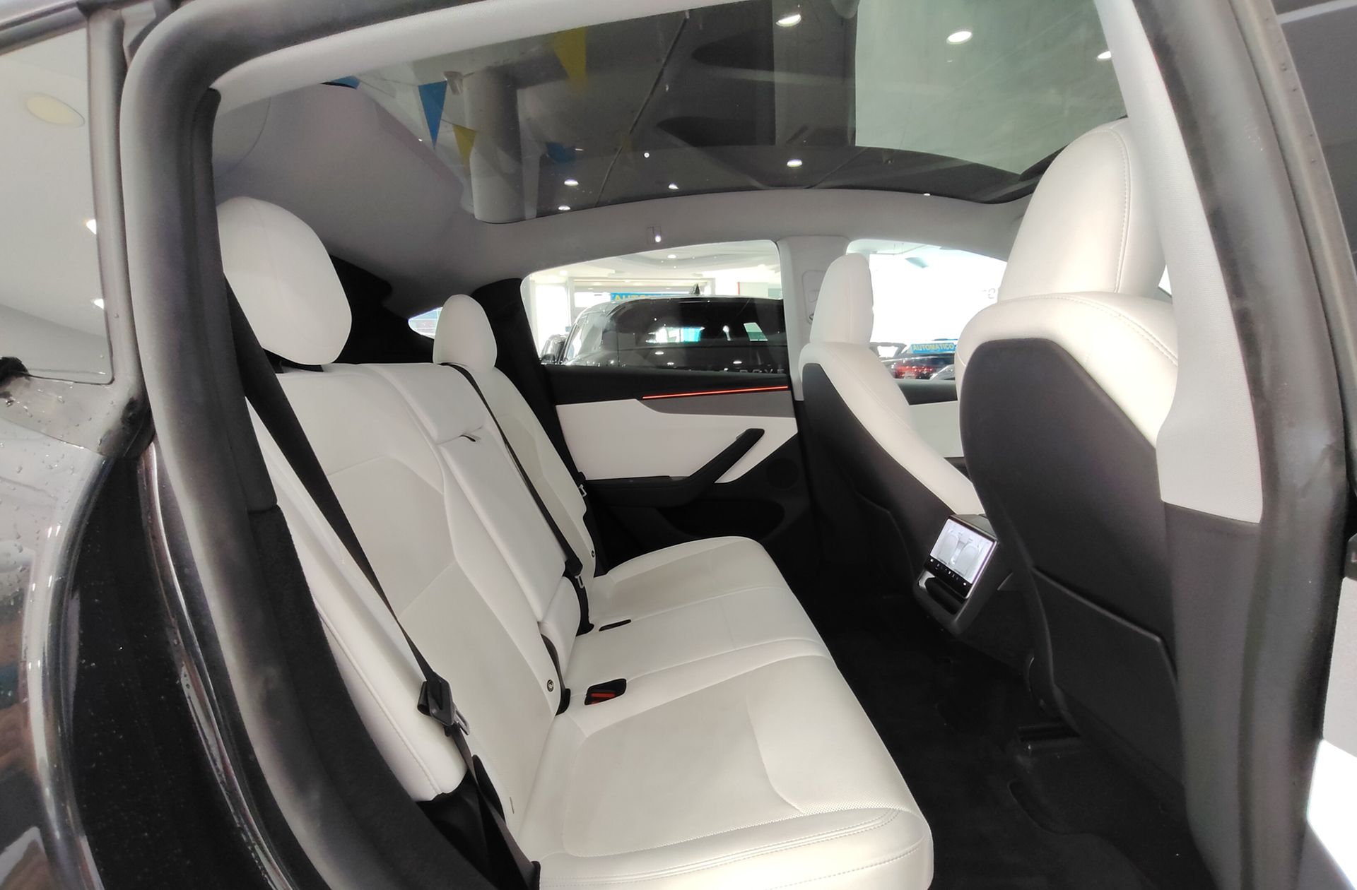Tesla Model Y Gran Autonomía 4WD - foto 19