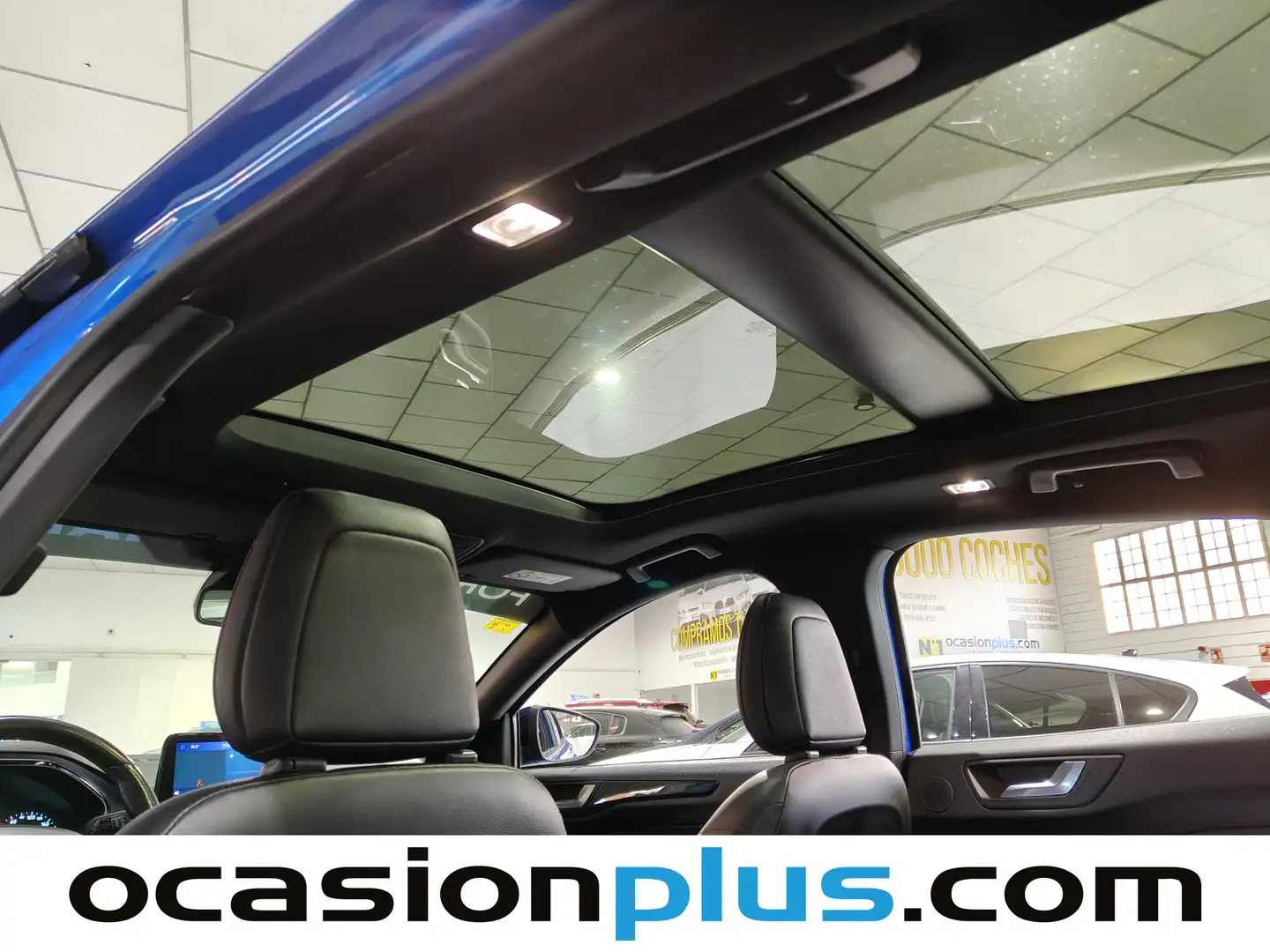 Foto Ford Focus Ford Focus 1.5 Ecoblue ST-Line Auto (120 CV)