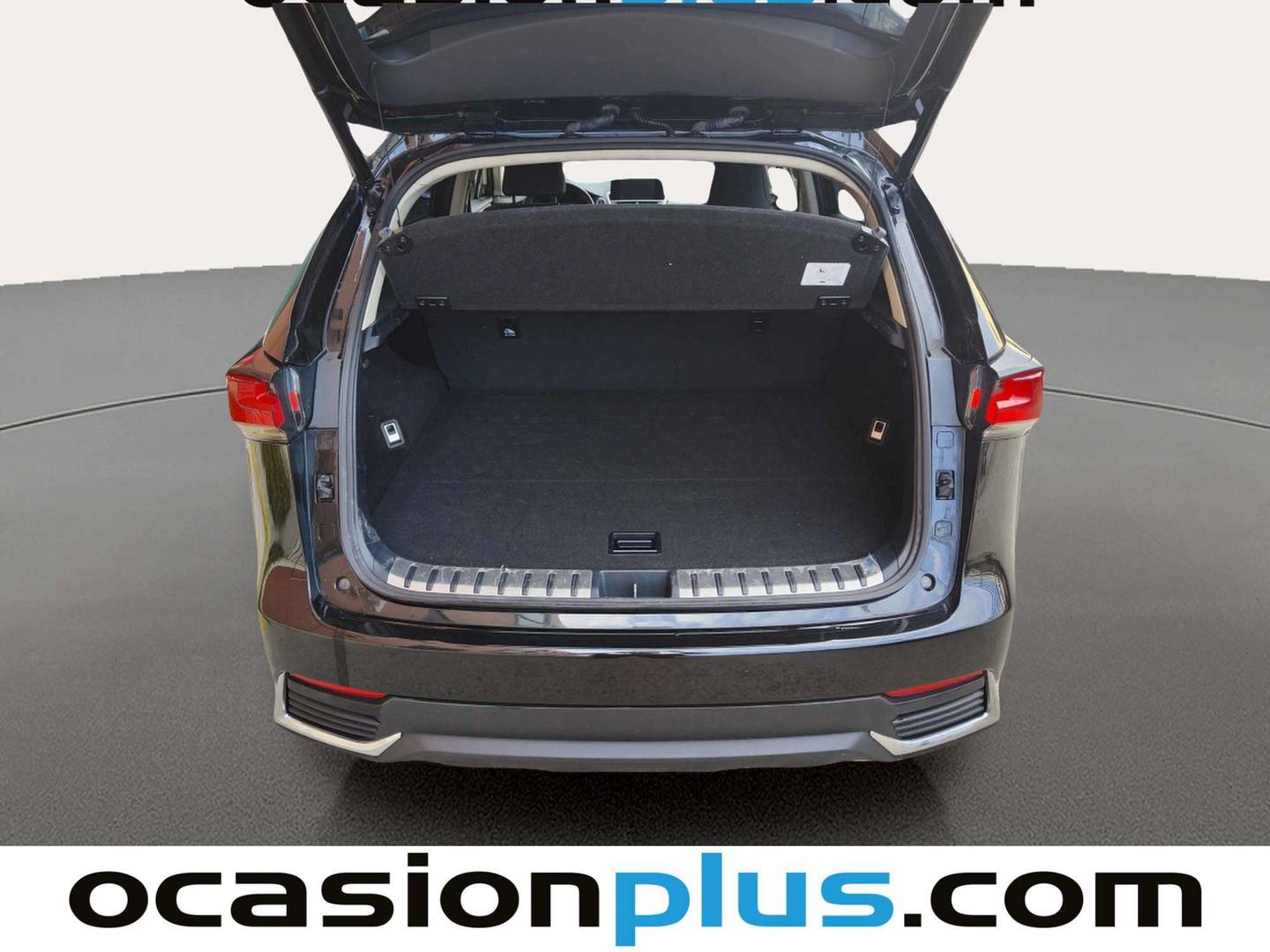 Foto Lexus NX Lexus NX 300h Premium 2WD (197 CV)