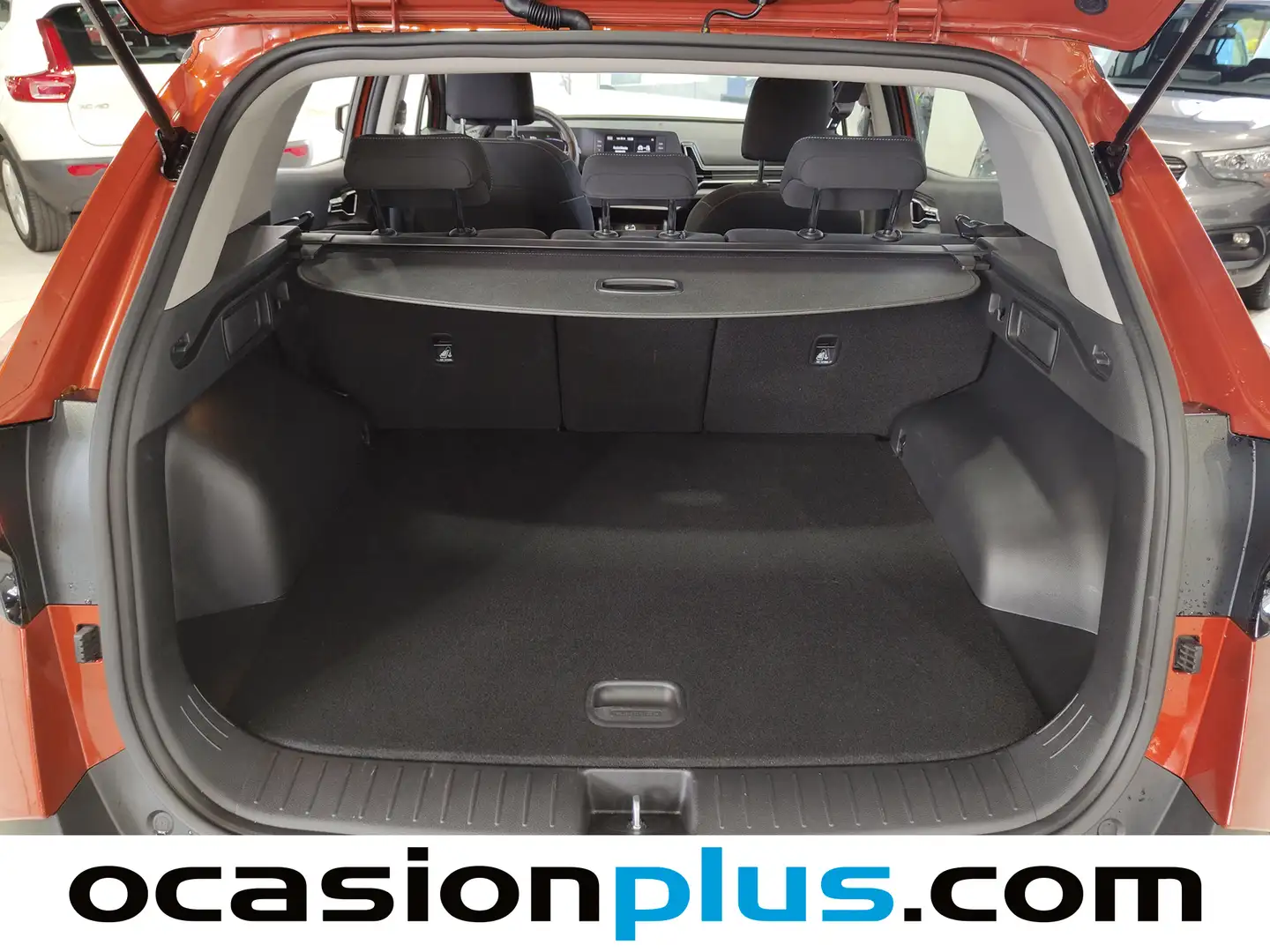 Foto KIA Sportage Kia Sportage 1.6 CRDi Concept 4x2 (115 CV)