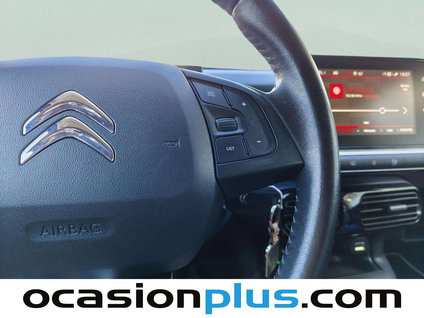 Citroën C4 Cactus Citroën C4 Cactus BlueHDi 100 S&S Origins (102 CV) de ocasión