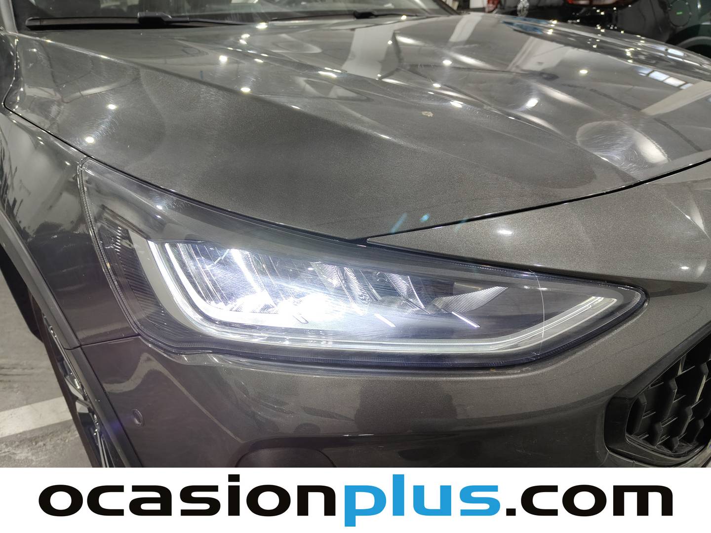 Foto Ford Focus Ford Focus 1.0 Ecoboost MHEV Active (155 CV)