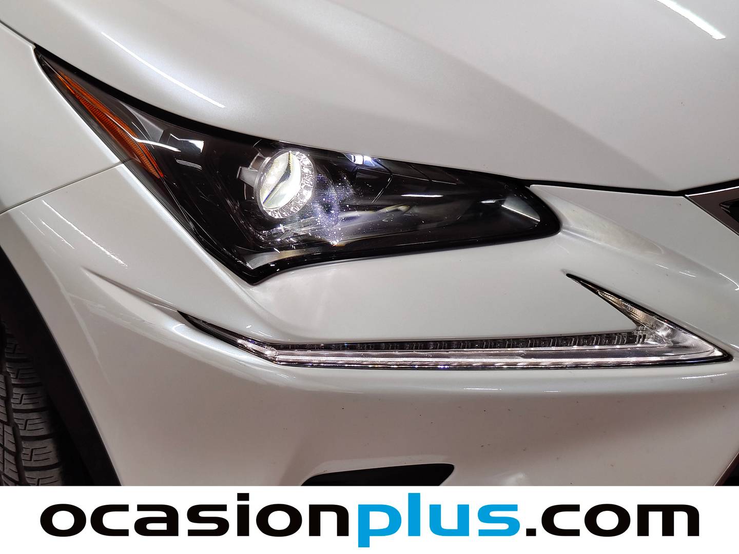 Extras del Lexus NX Lexus NX 300h Business Navigation 2WD (197 CV)