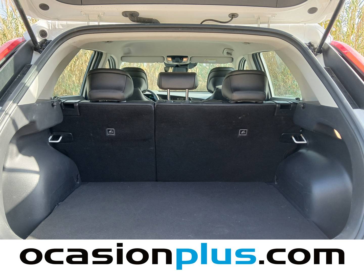 Foto KIA Niro Kia Niro 1.6 GDi HEV Drive (141 CV)