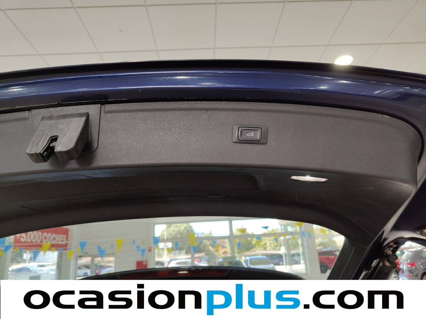 Audi Q5 Audi Q5 Advanced 2.0 TDI quattro (163 CV) S tronic km 0