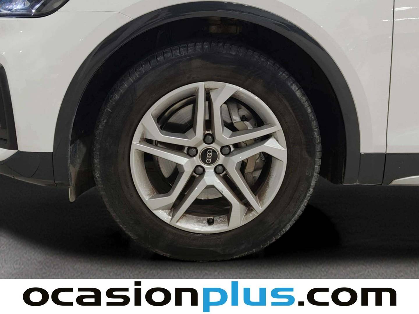 Audi Q5 Audi Q5 Advanced 35 TDI (163 CV) S tronic al mejor precio