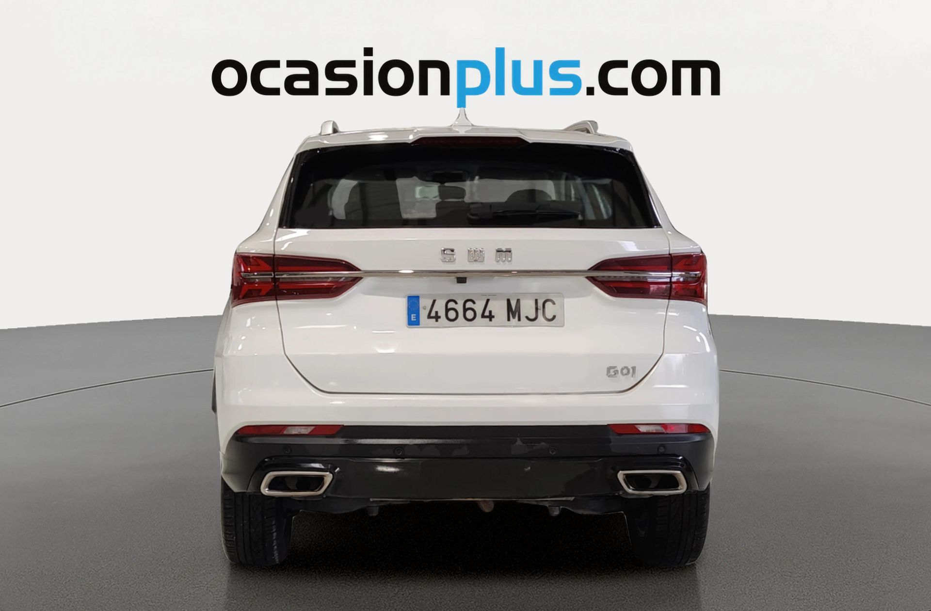 SWM G01 1.5T Luxury - foto 14