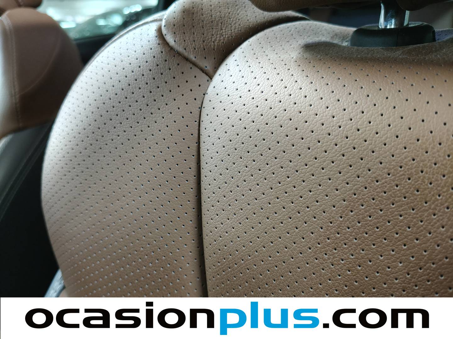 Foto Subaru Forester Subaru Forester 2.0i Hybrid Executive Plus CVT (150 CV)