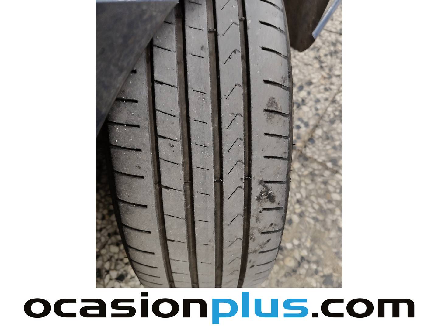 Seat Ibiza SEAT Ibiza 1.0 TSI S&S Special Edition Xcellence (115 CV) seminuevo