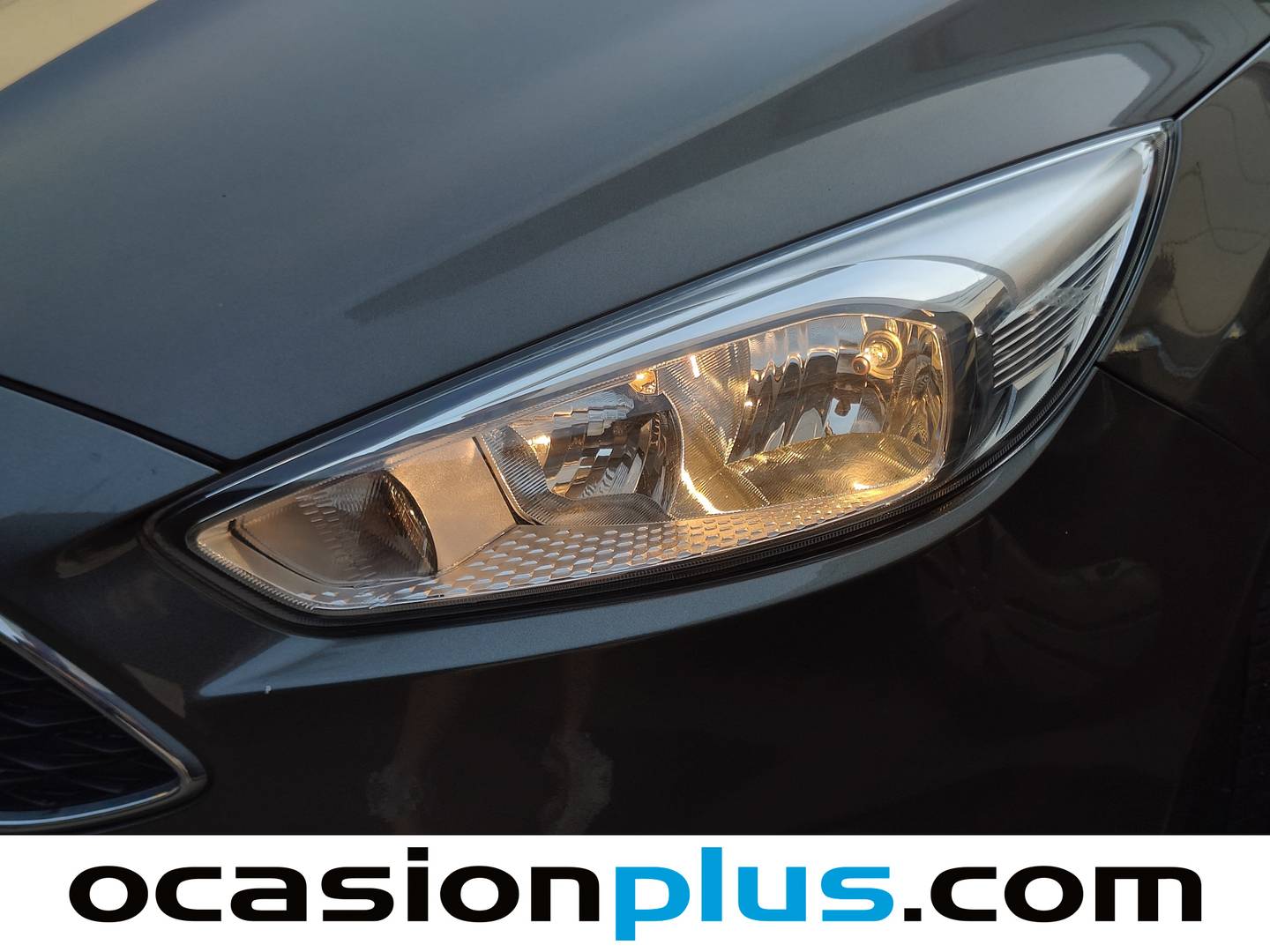 Ford Focus Ford Focus 1.0 Ecoboost S&S Trend+ (125 CV) al mejor precio