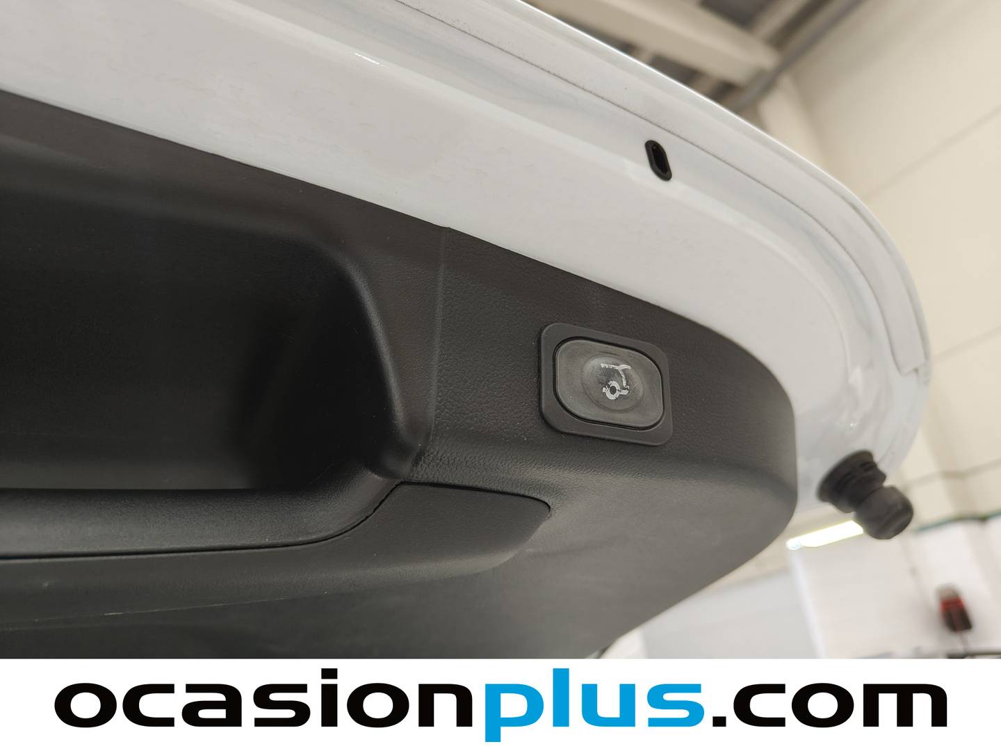 Foto Ford Focus Ford Focus 1.5 Ecoblue ST-Line (120 CV)