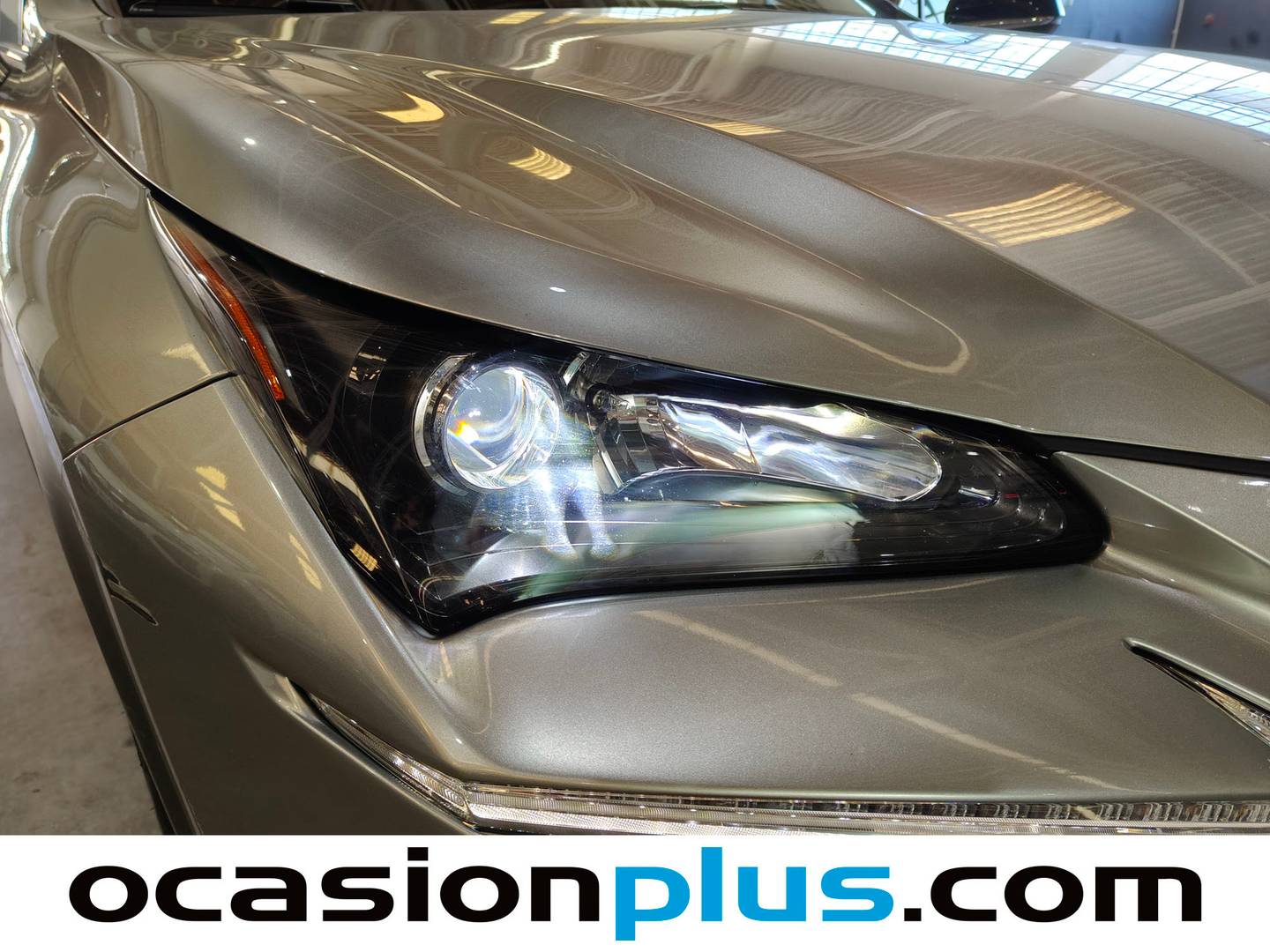 Accesorios del Lexus NX Lexus NX 300h Sport Edition 2WD (197 CV)
