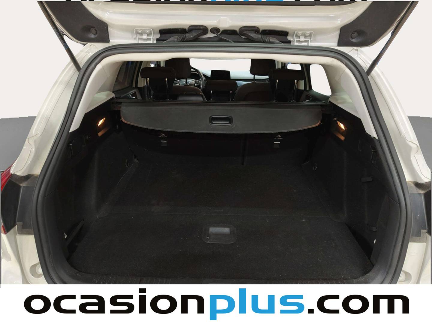 Foto Ford Focus Ford Focus 1.0 Ecoboost Active (125 CV)