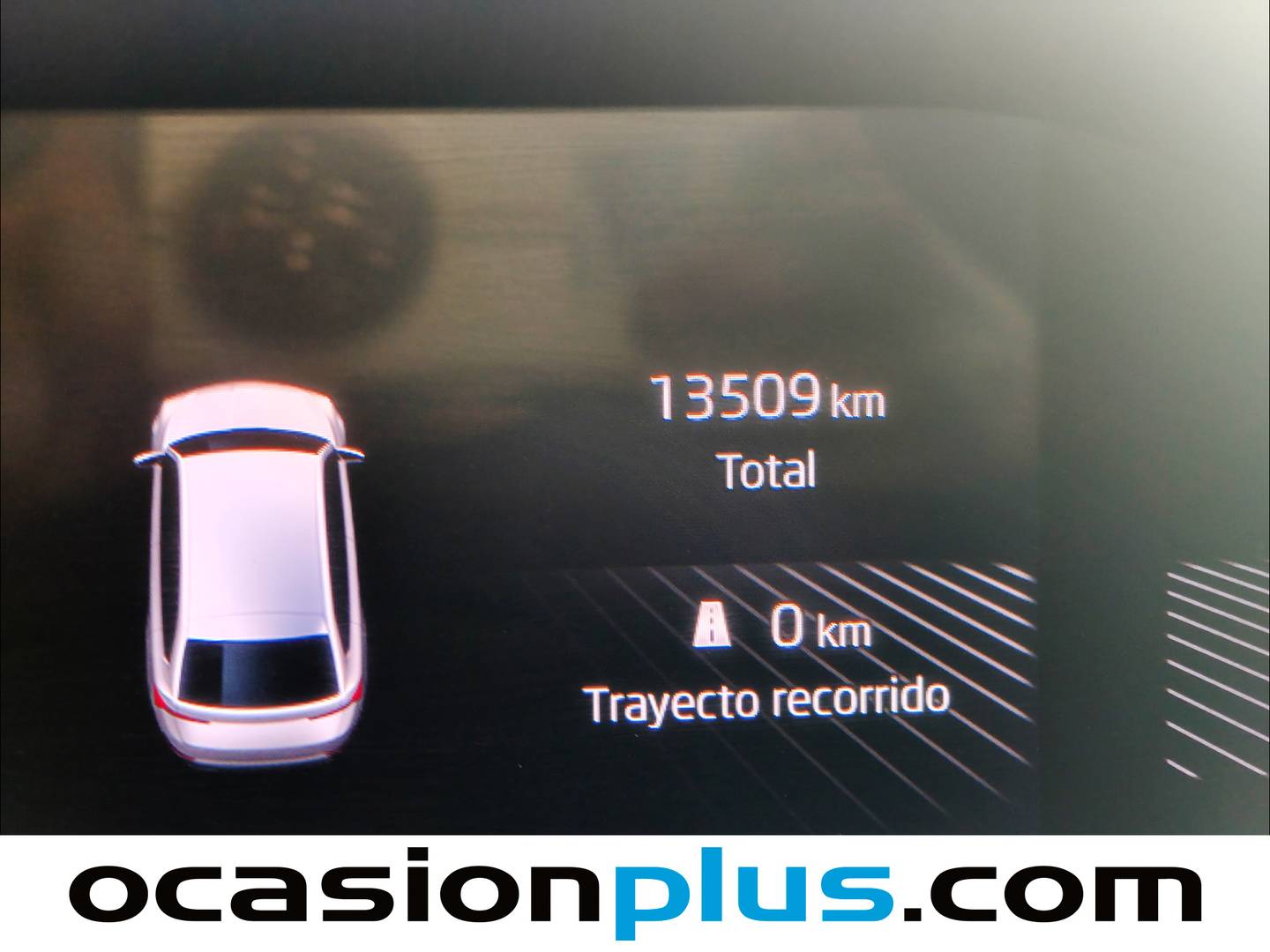 Skoda Scala Skoda Scala 1.0 TSI Selection DSG (115 CV) seminuevo