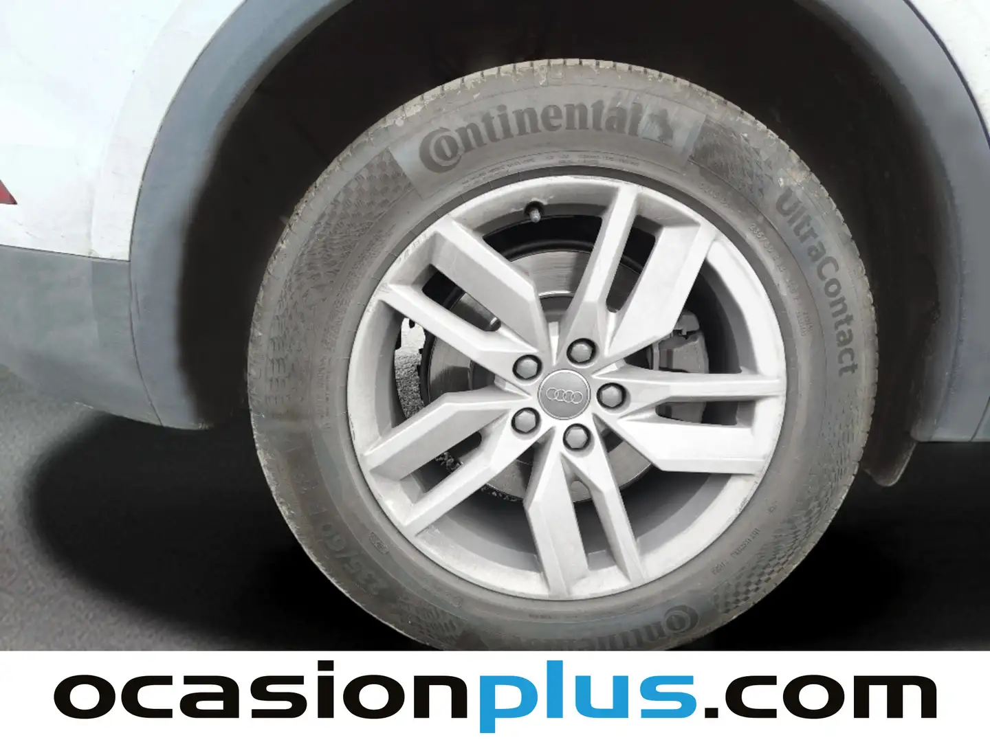 Foto Audi Q5 Audi Q5 Advanced 2.0 TDI quattro (190 CV) S tronic