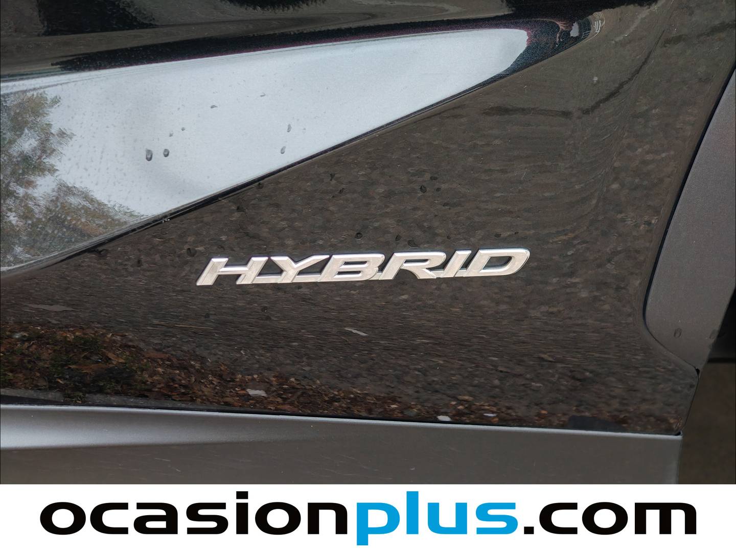 Foto Lexus NX Lexus NX 300h Business 2WD (197 CV)