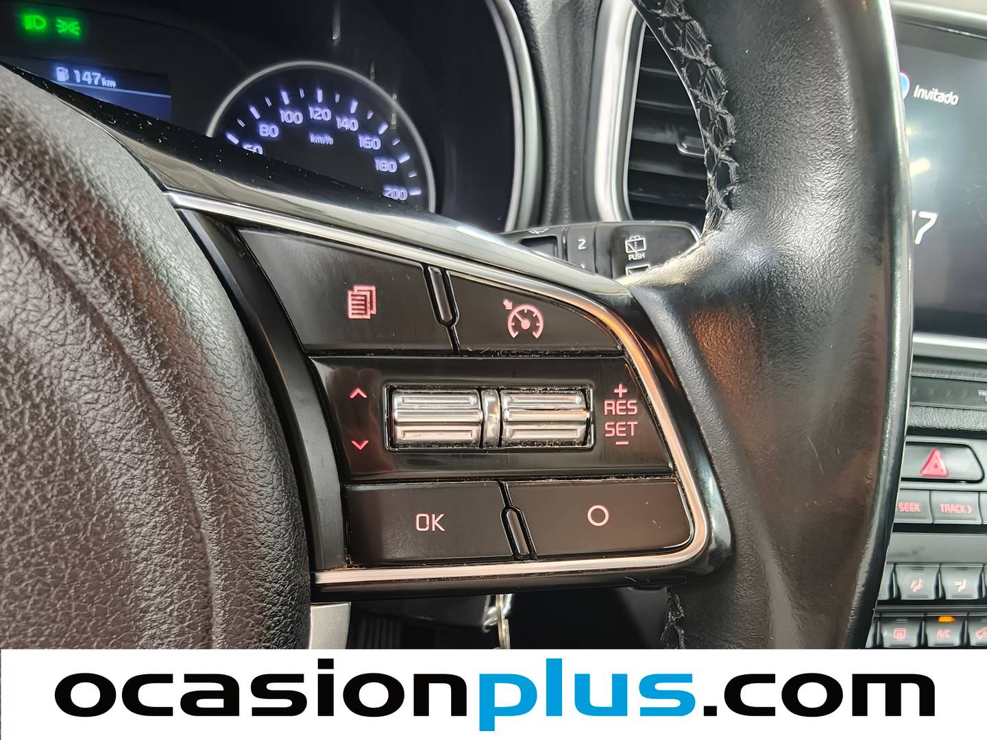 KIA Sportage Kia Sportage 1.6 MHEV Business 4x4 (136 CV) de ocasión