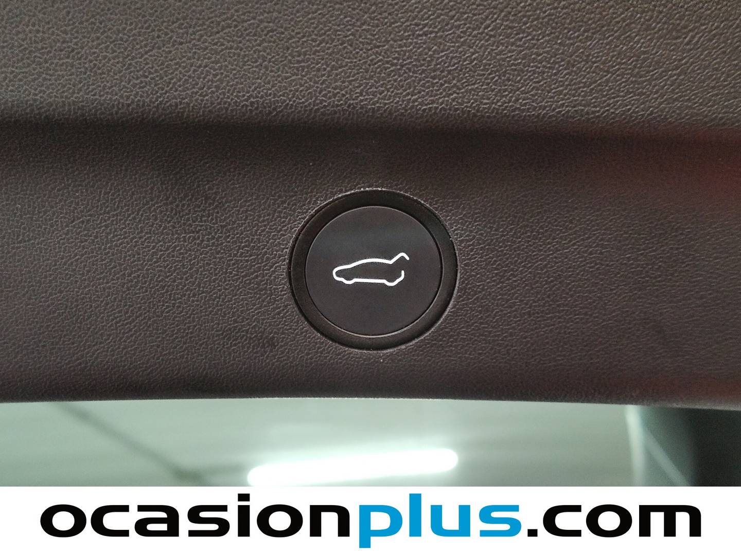 Foto Tesla Model Y Tesla Model Y Tracción Trasera RWD (347 CV)