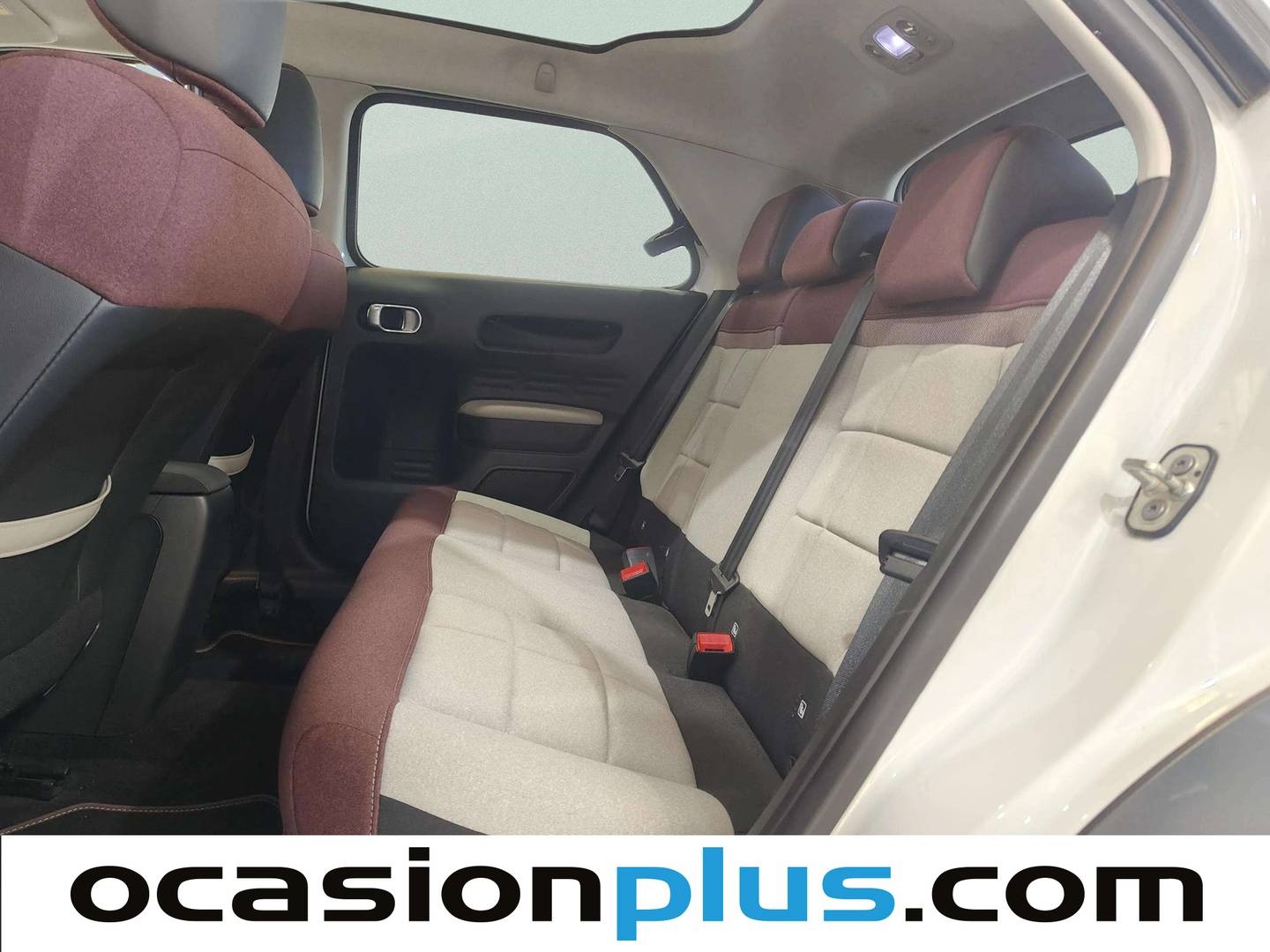 Foto asientos traseros Citroën C4 Cactus Citroën C4 Cactus PureTech 110 S&S Cool&Comfort (110 CV)
