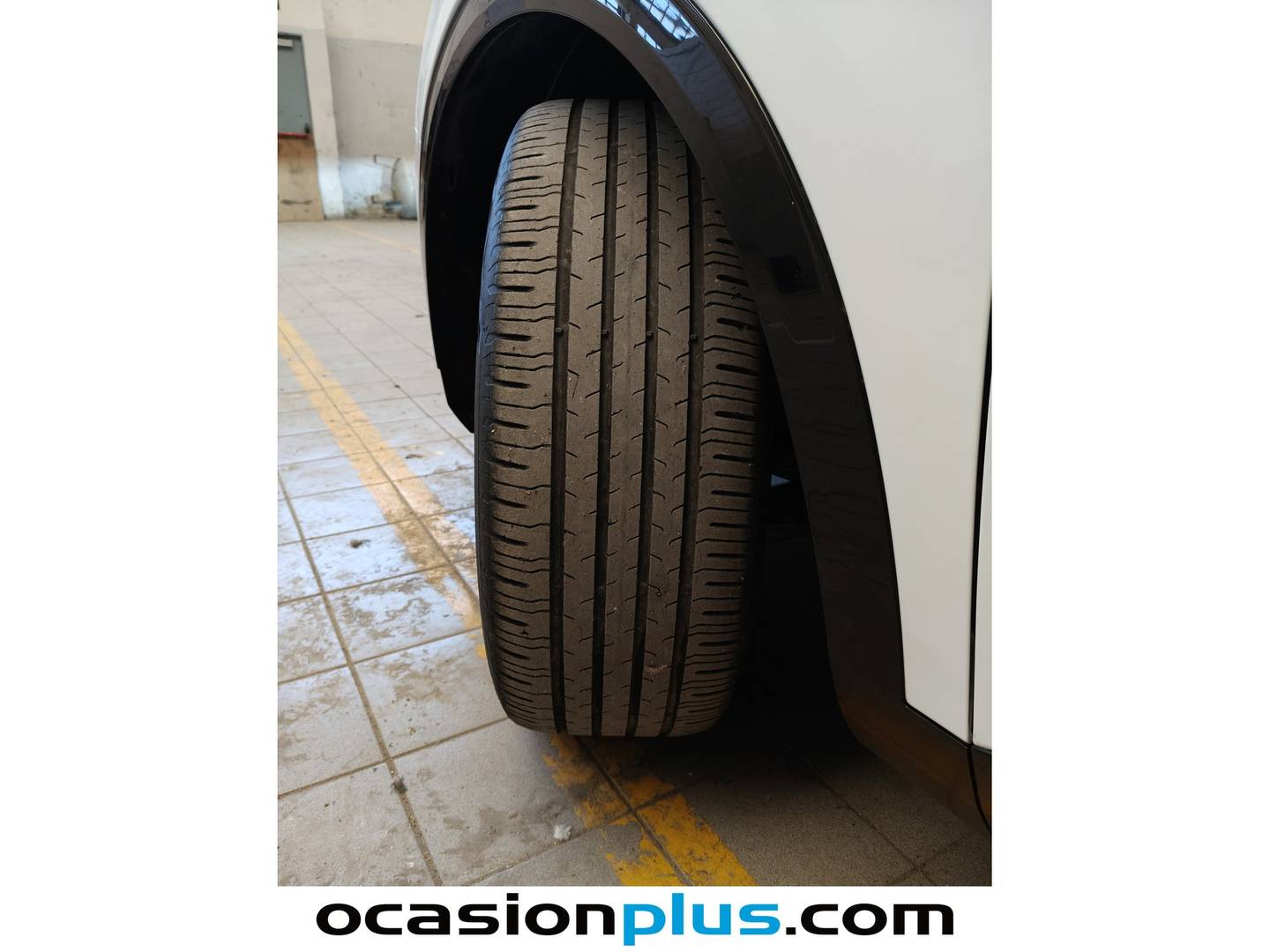 KIA Sportage KIA Sportage 1.6 T-GDi MHEV Tech 4x2 (150 CV) al mejor precio