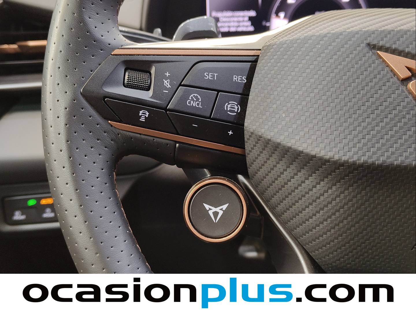 Cupra Terramar Cupra Terramar 1.5 eTSI DSG (150 CV) al mejor precio