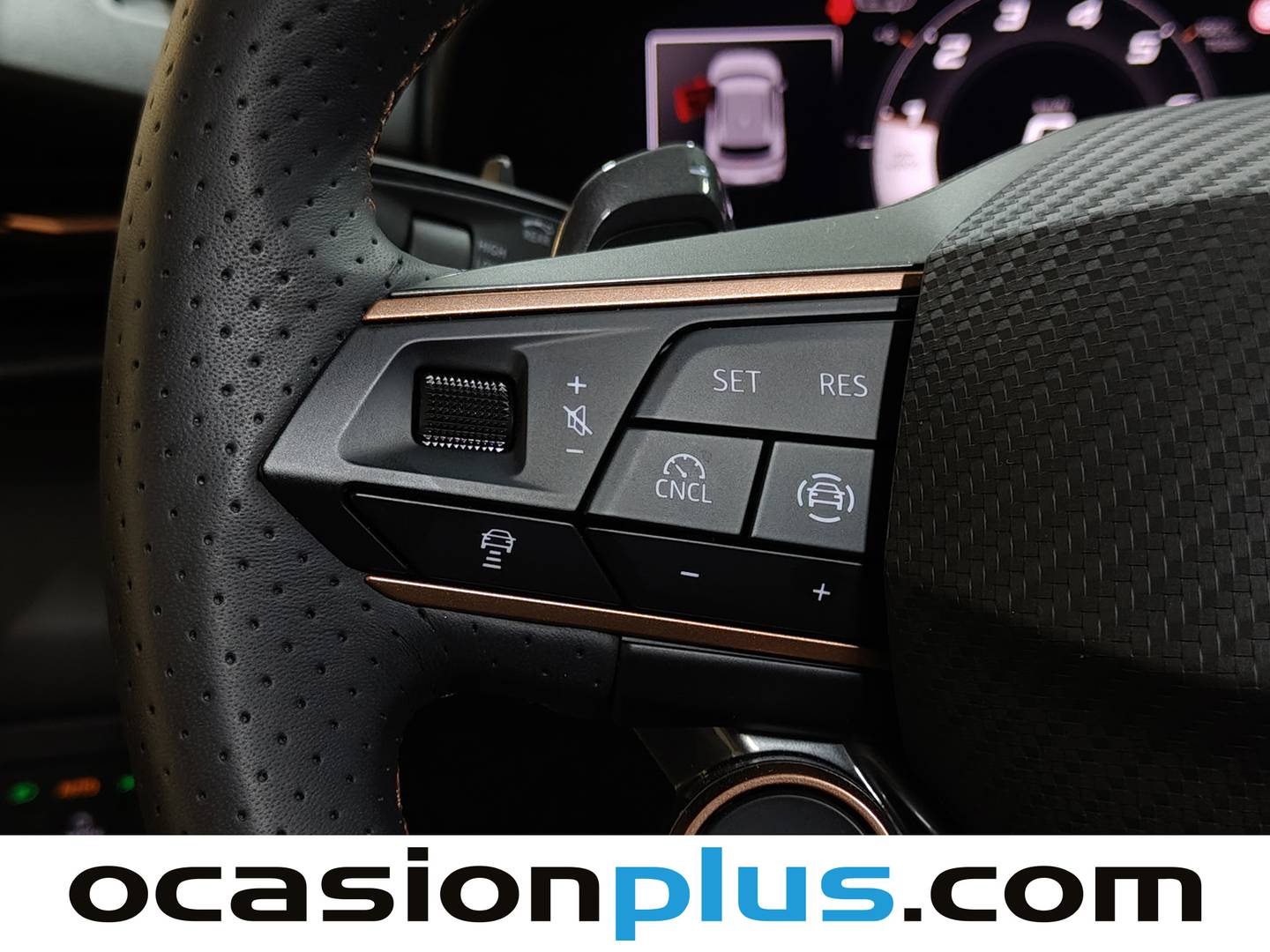 Cupra Terramar Cupra Terramar 1.5 eTSI Beyond DSG (150 CV) híbrido