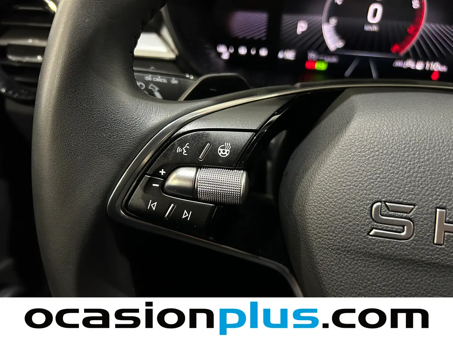 Foto Skoda Fabia Skoda Fabia 1.0 TSI Selection DSG  (115 CV)