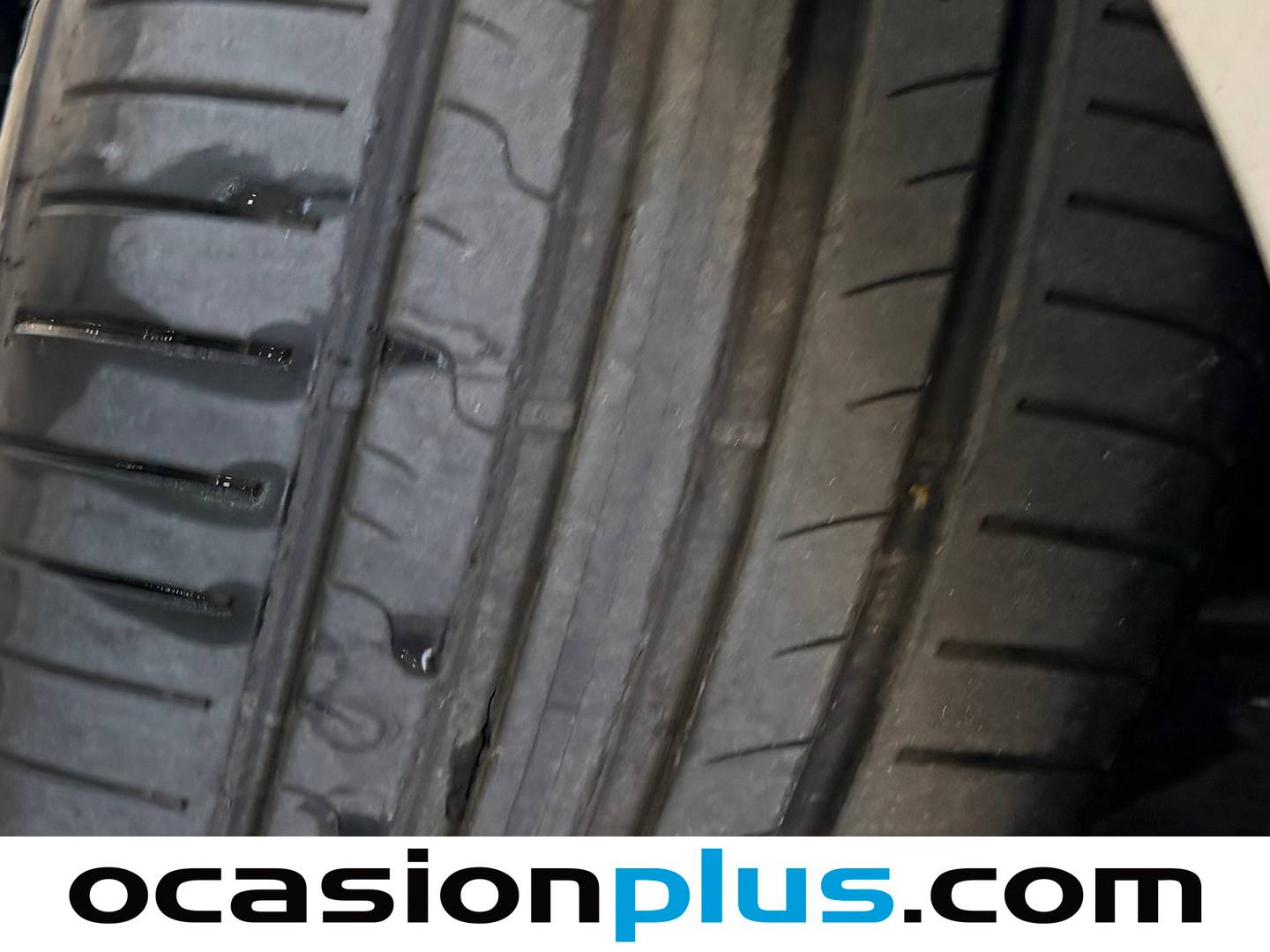 Ford Focus Ford Focus 1.6 TDCI Trend+ (115 CV) km 0