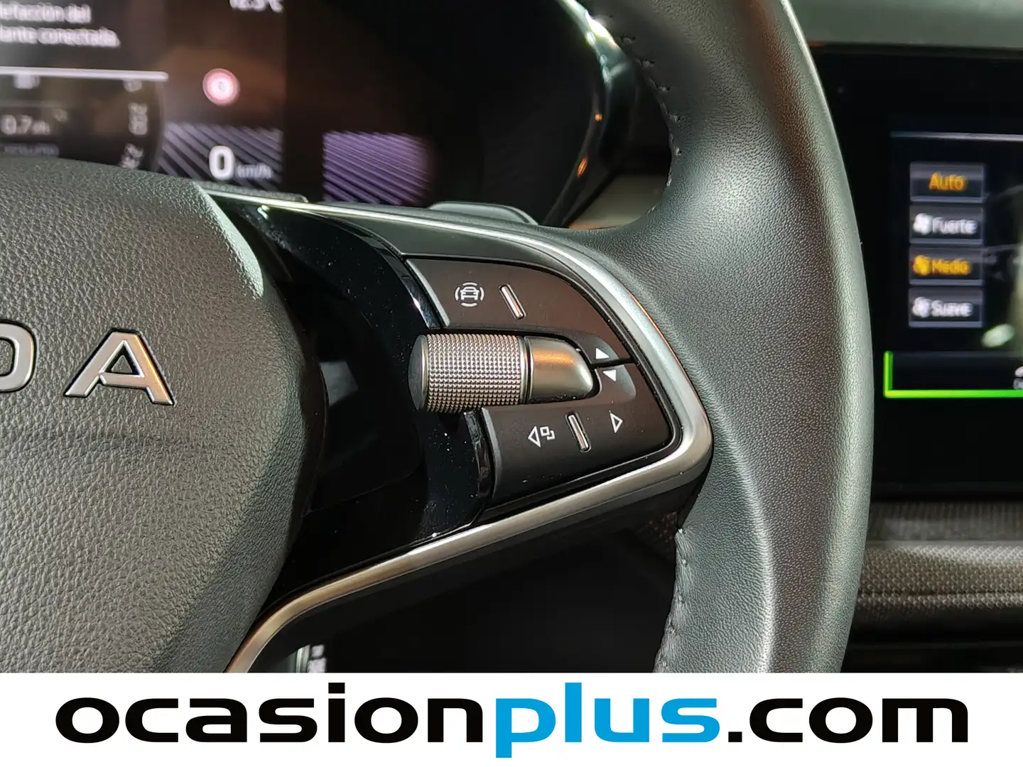 Foto Skoda Fabia Skoda Fabia 1.0 TSI Selection DSG (115 CV)