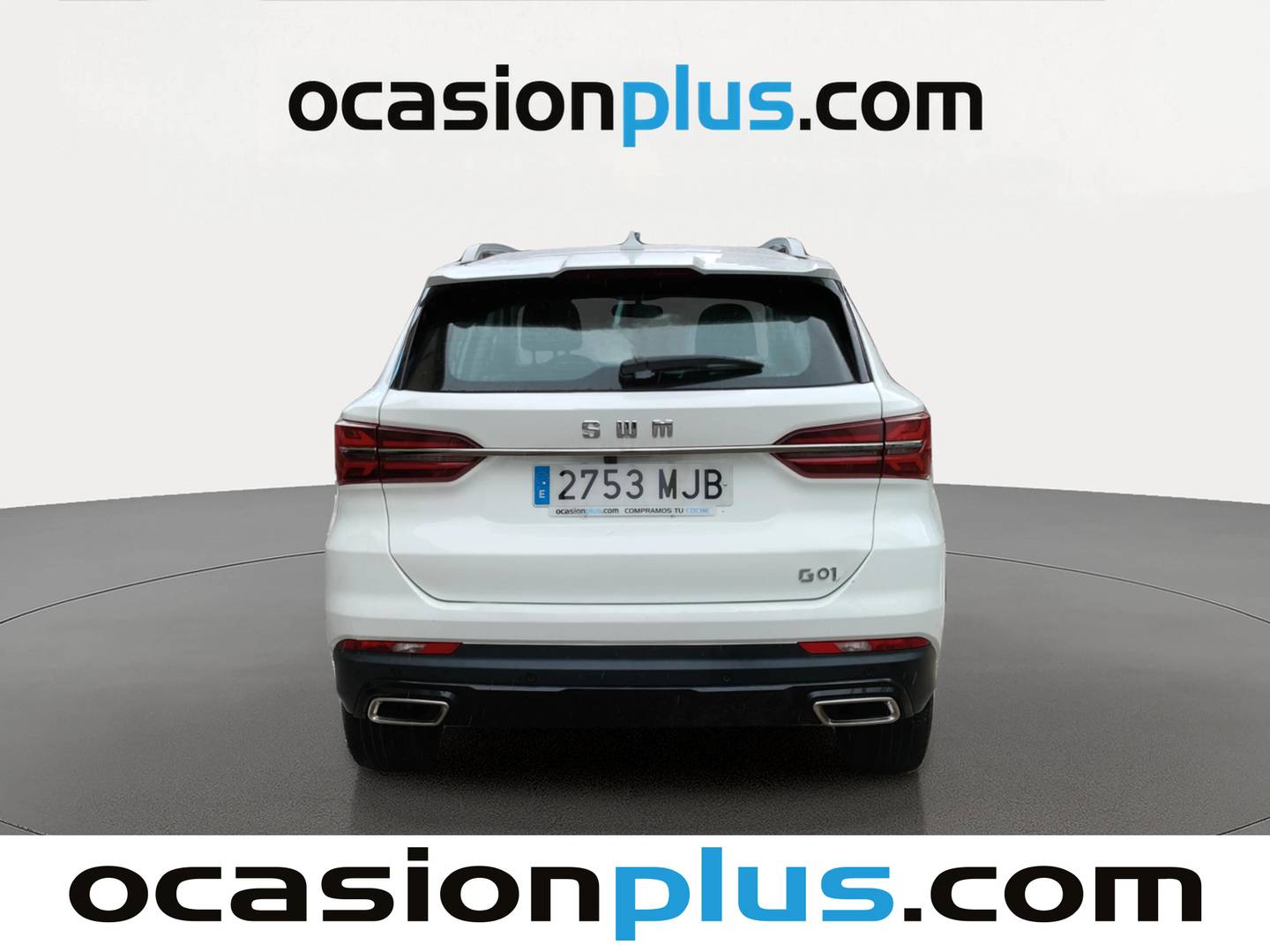 SWM G01 SWM G01 1.5T Luxury (131 CV) gasolina