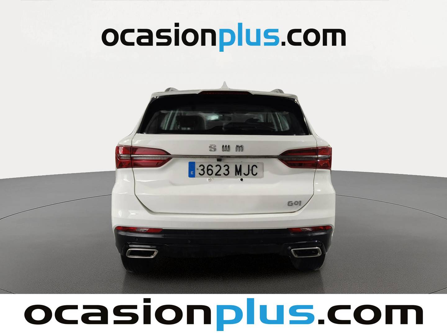 SWM G01 SWM G01 1.5T Luxury (131 CV) manual
